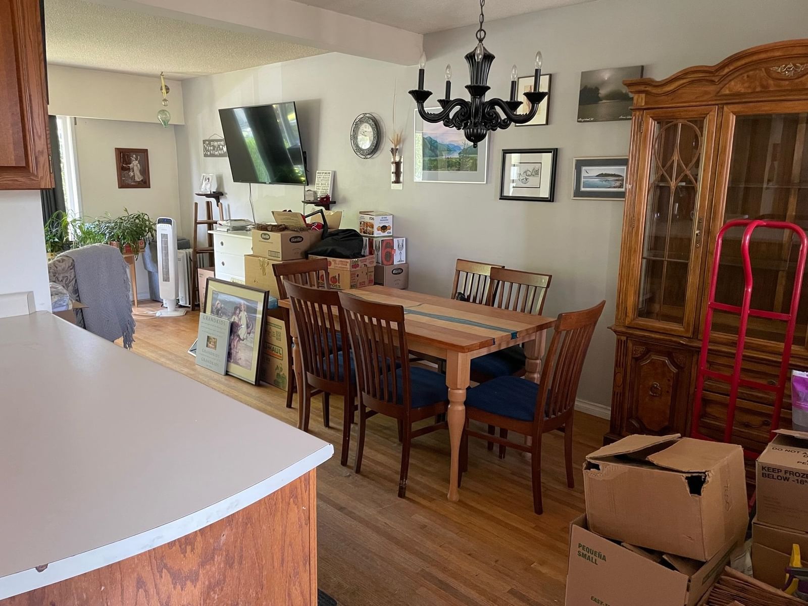 Listing Image 12