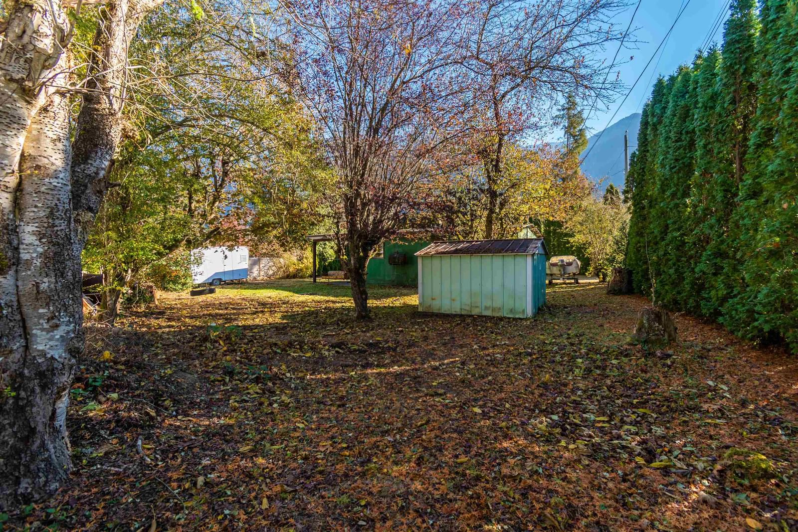 Listing Image 13