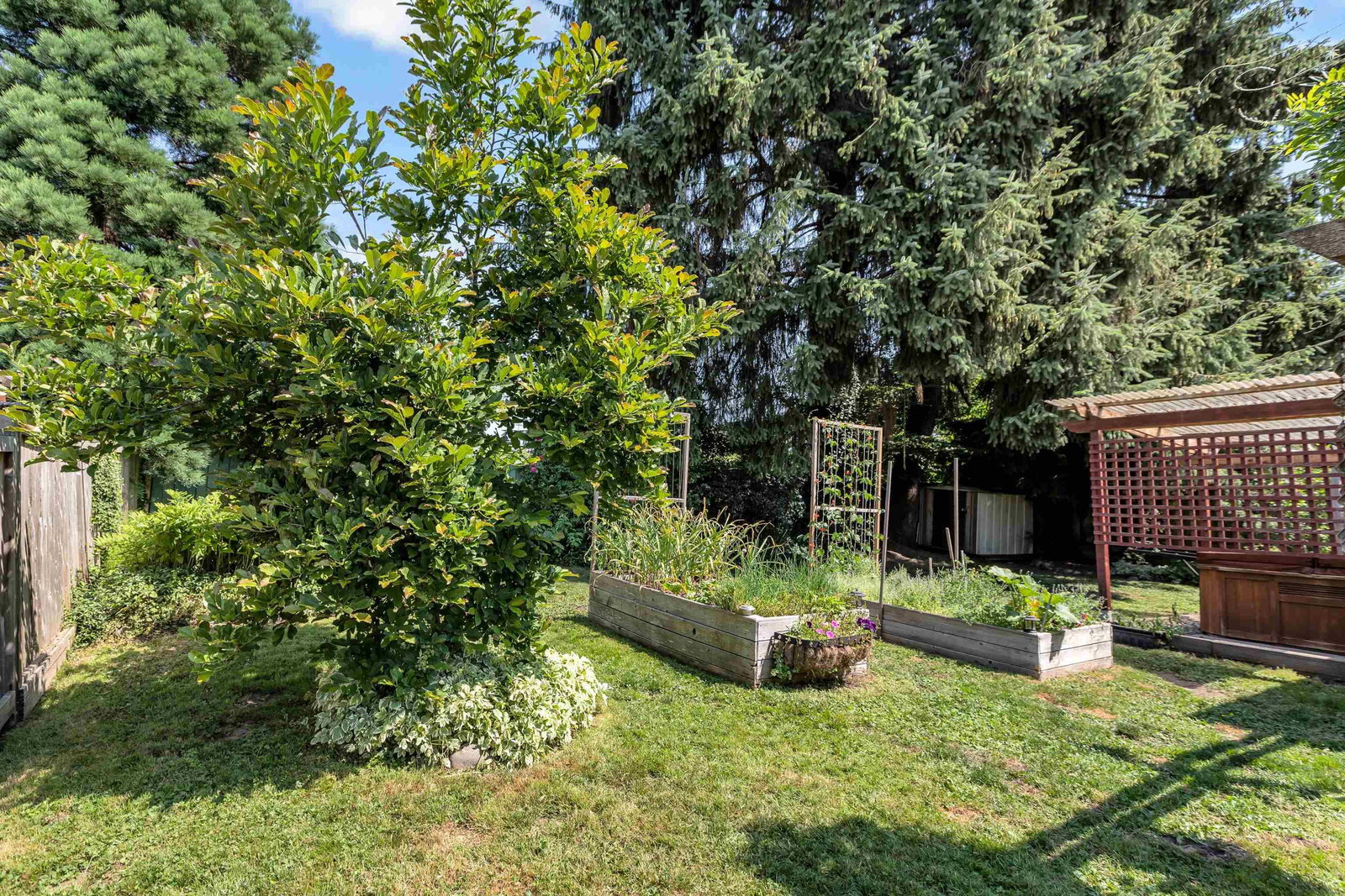 Listing Image 31