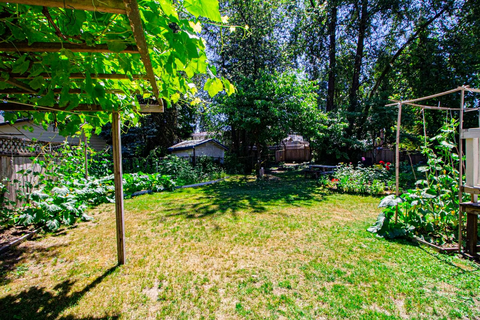 Listing Image 25
