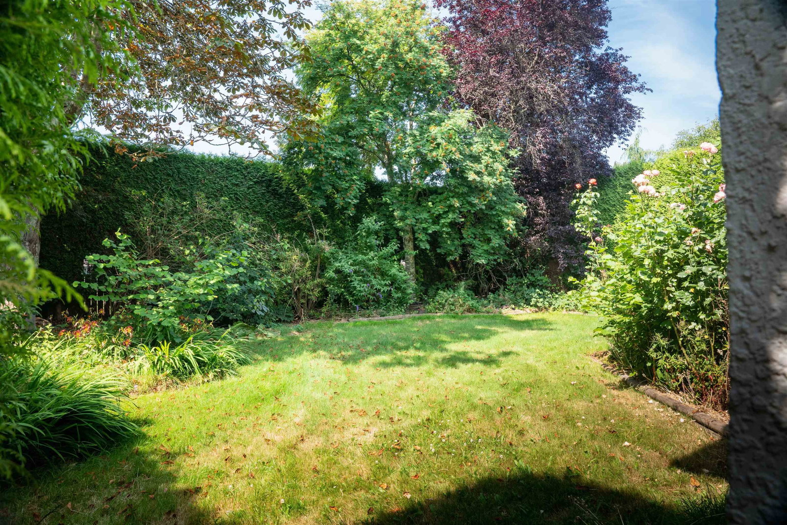 Listing Image 37