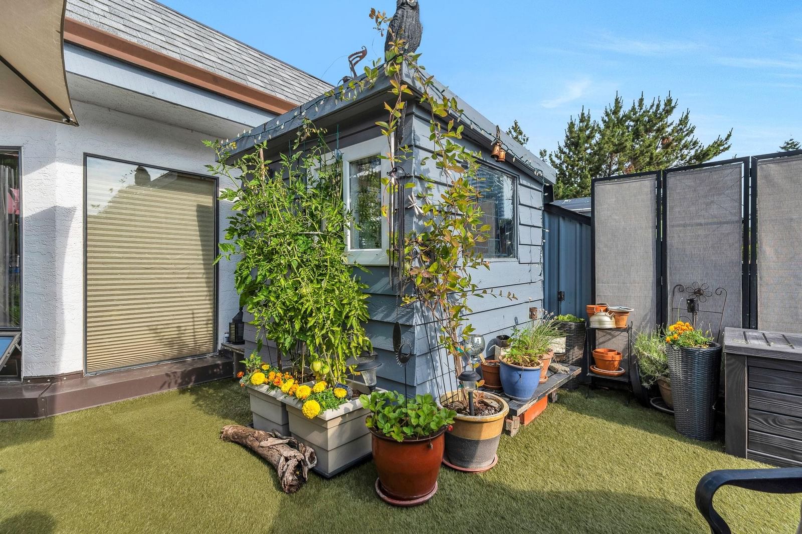 Listing Image 12