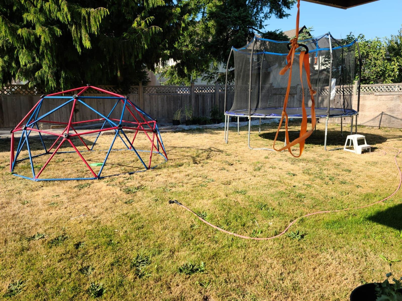 Listing Image 6