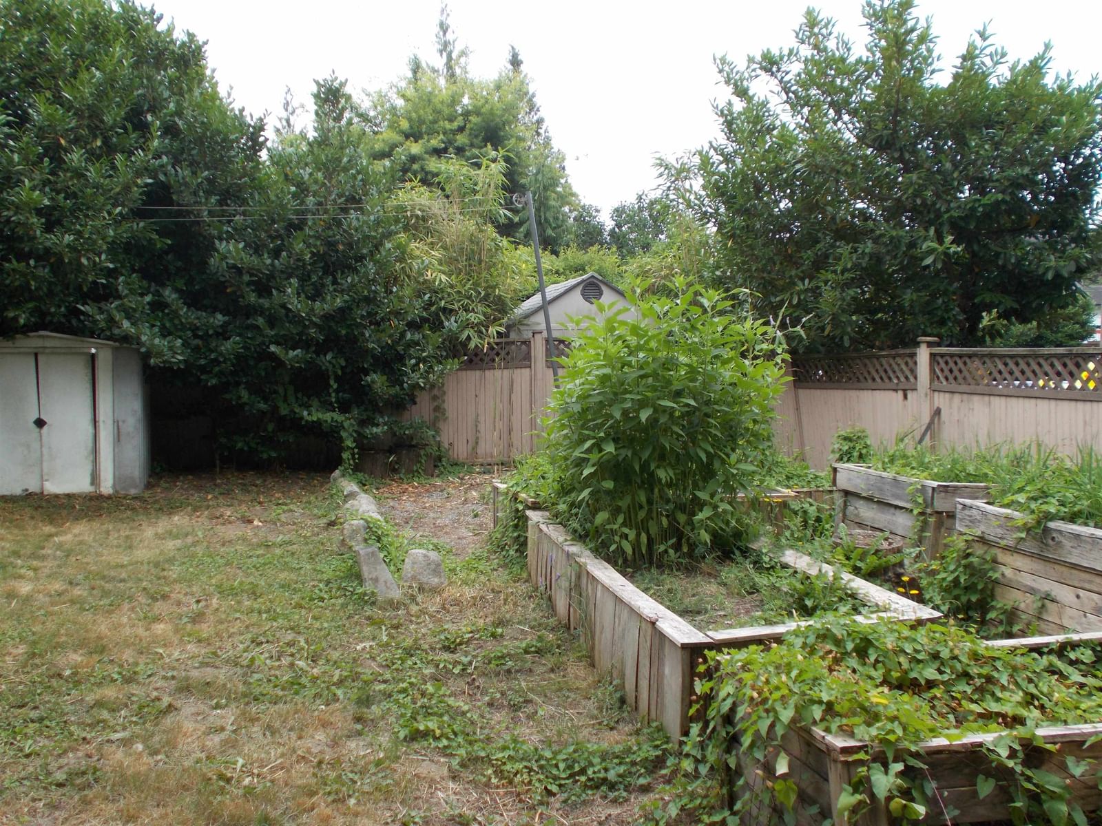 Listing Image 24