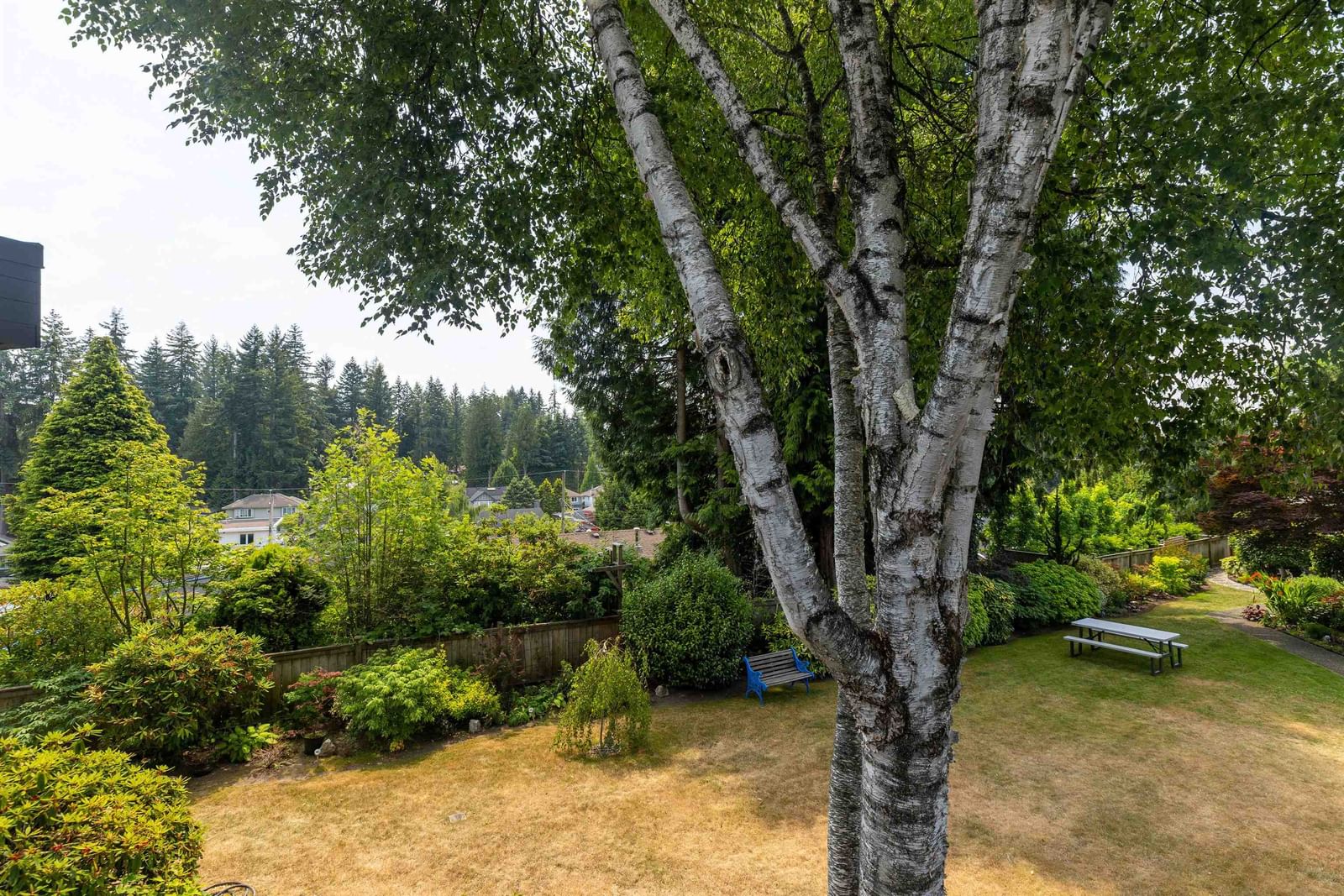 Listing Image 24