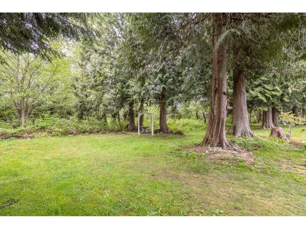 Listing Image 33