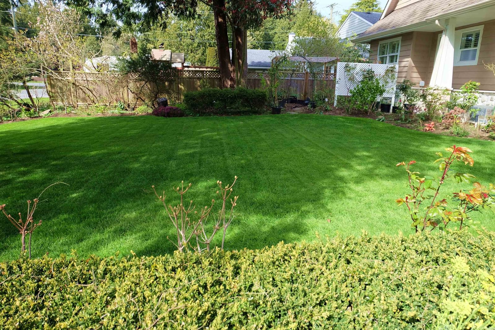 Listing Image 21