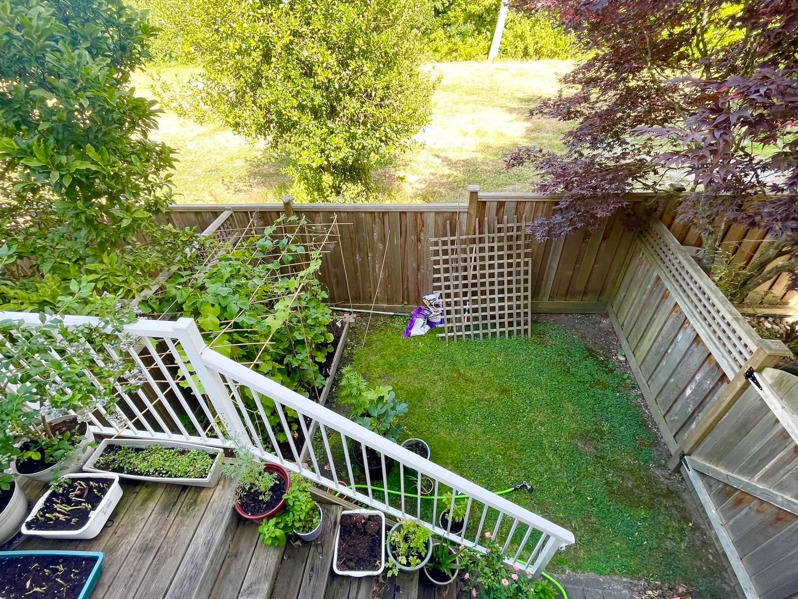 Listing Image 19