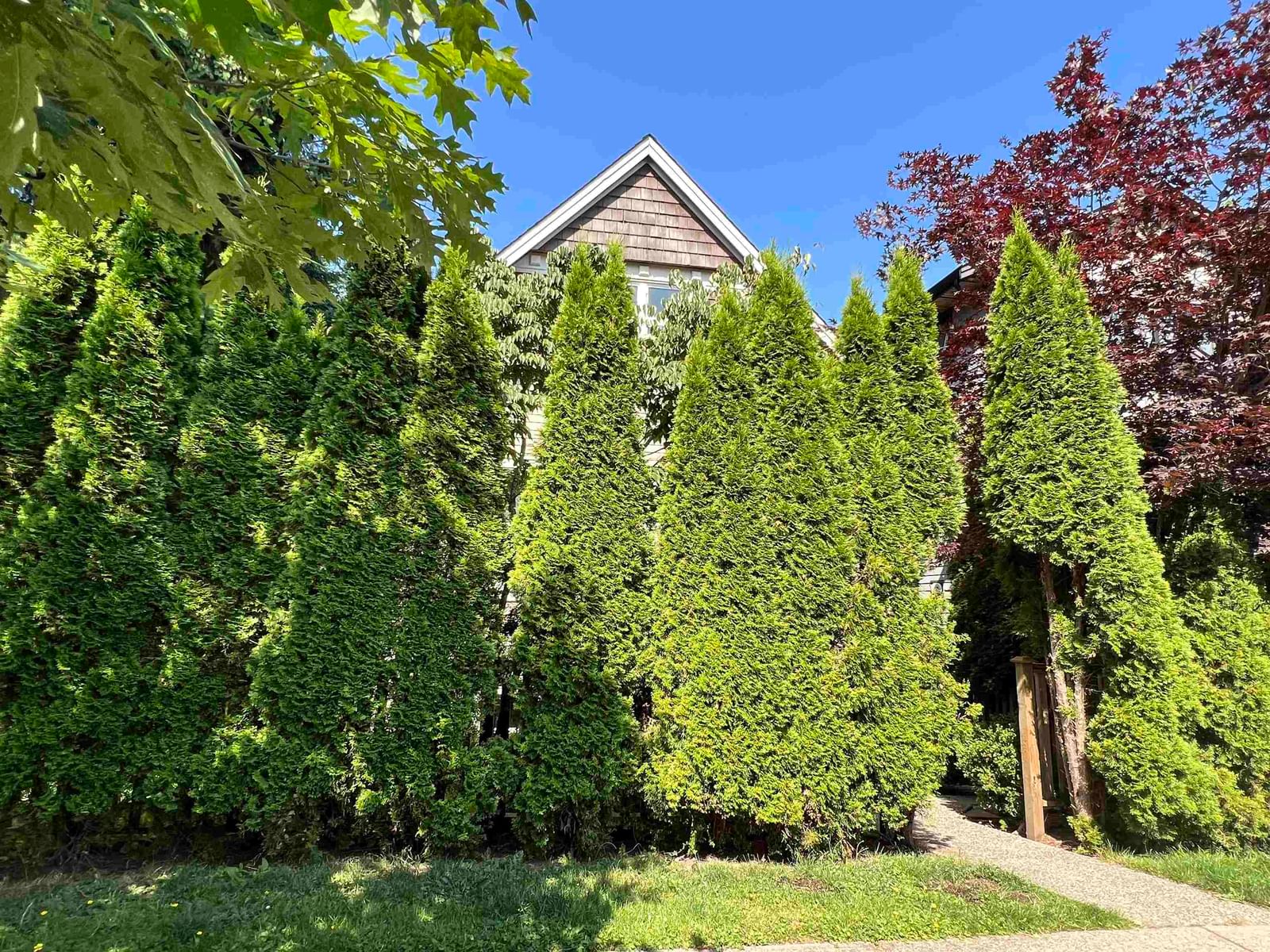 Listing Image 27