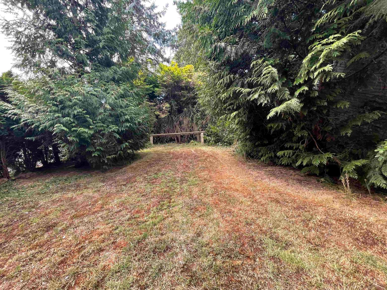 Listing Image 24