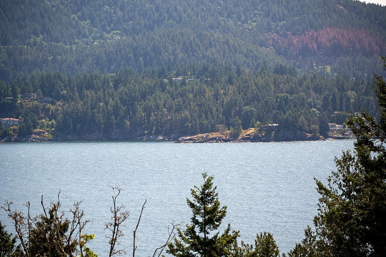 Listing Image 39