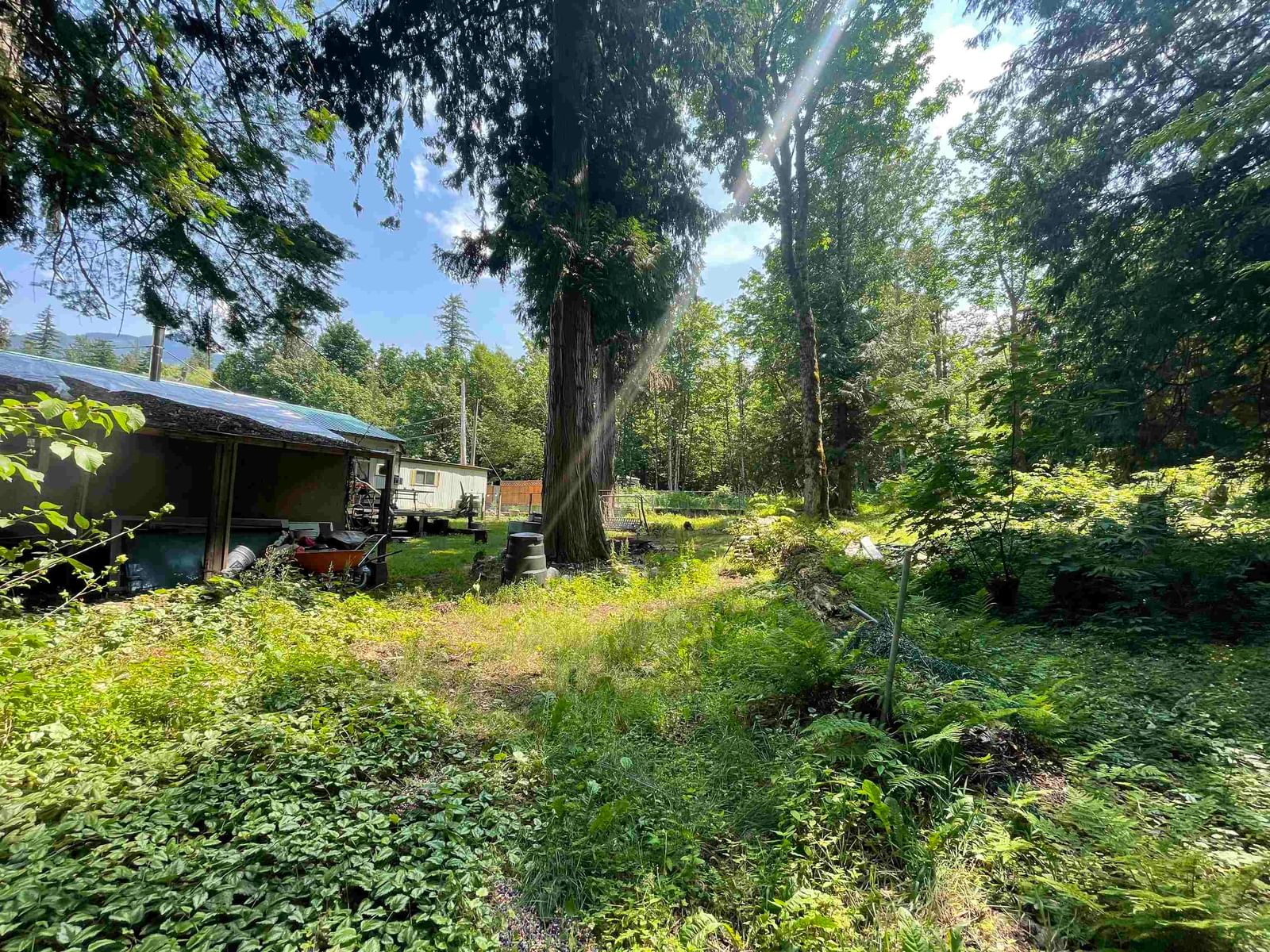 Listing Image 18