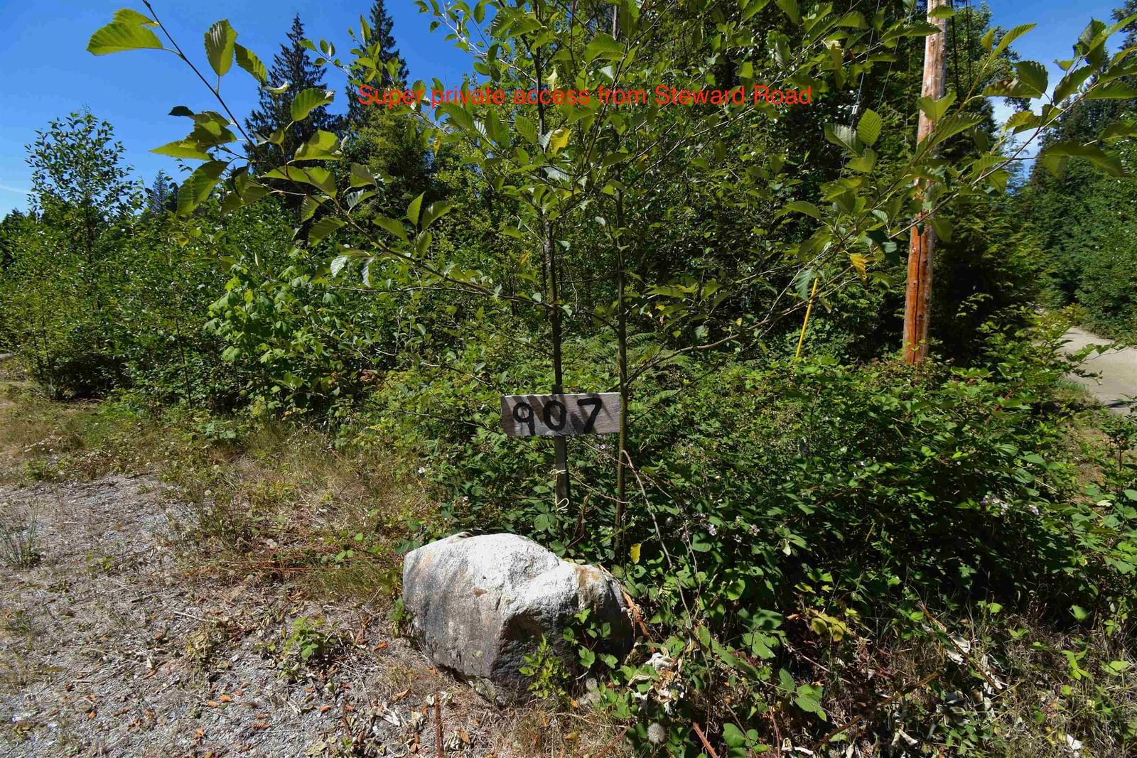 Listing Image 32