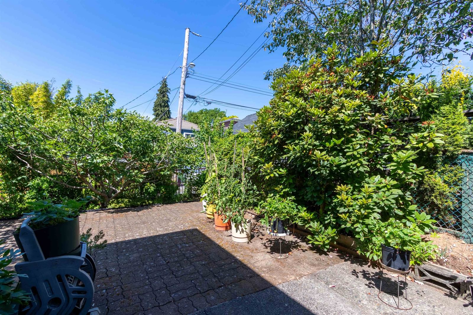 Listing Image 31