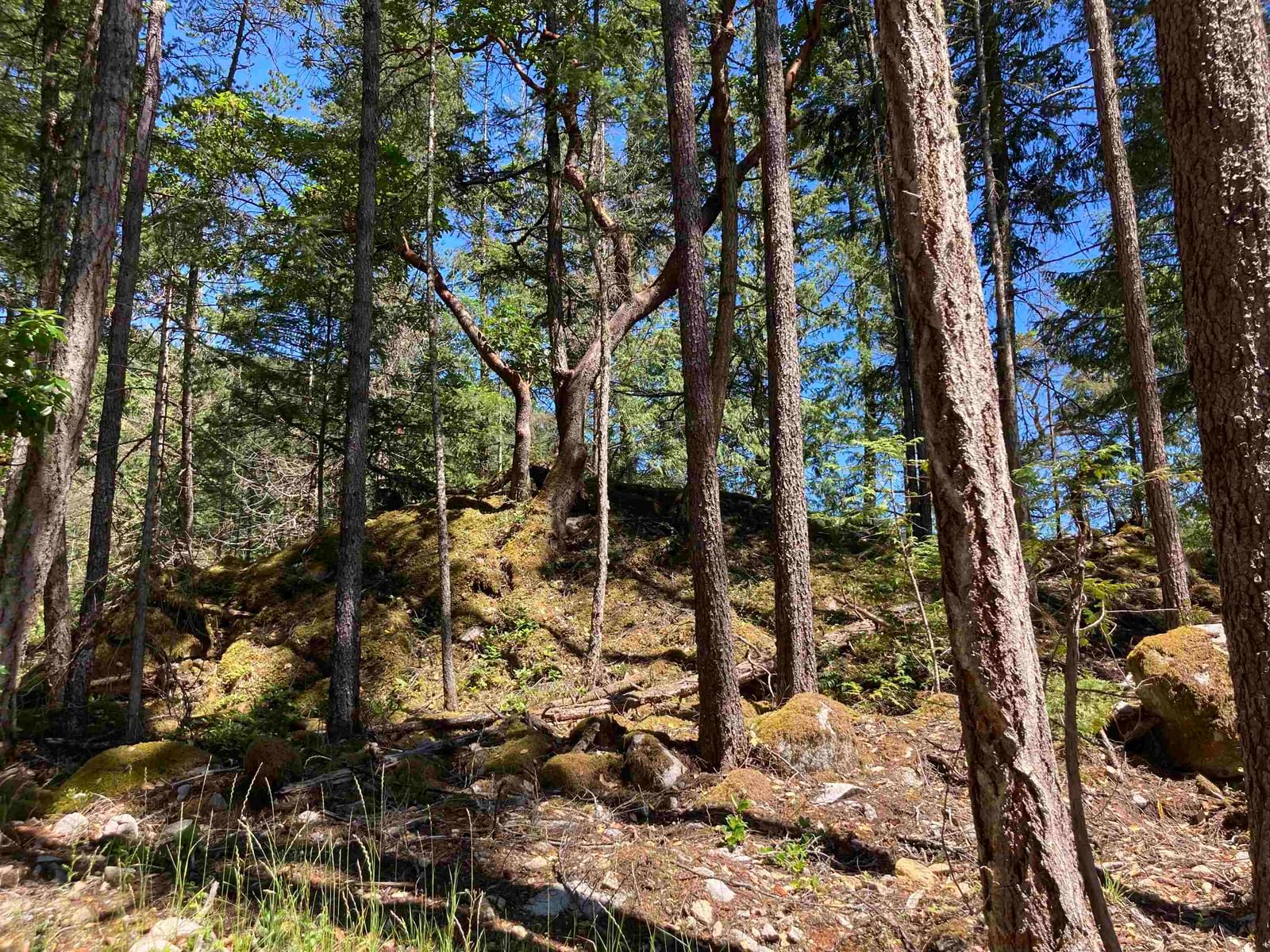 Listing Image 8
