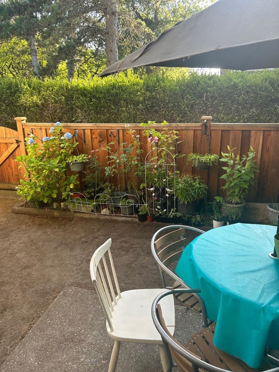 Listing Image 15