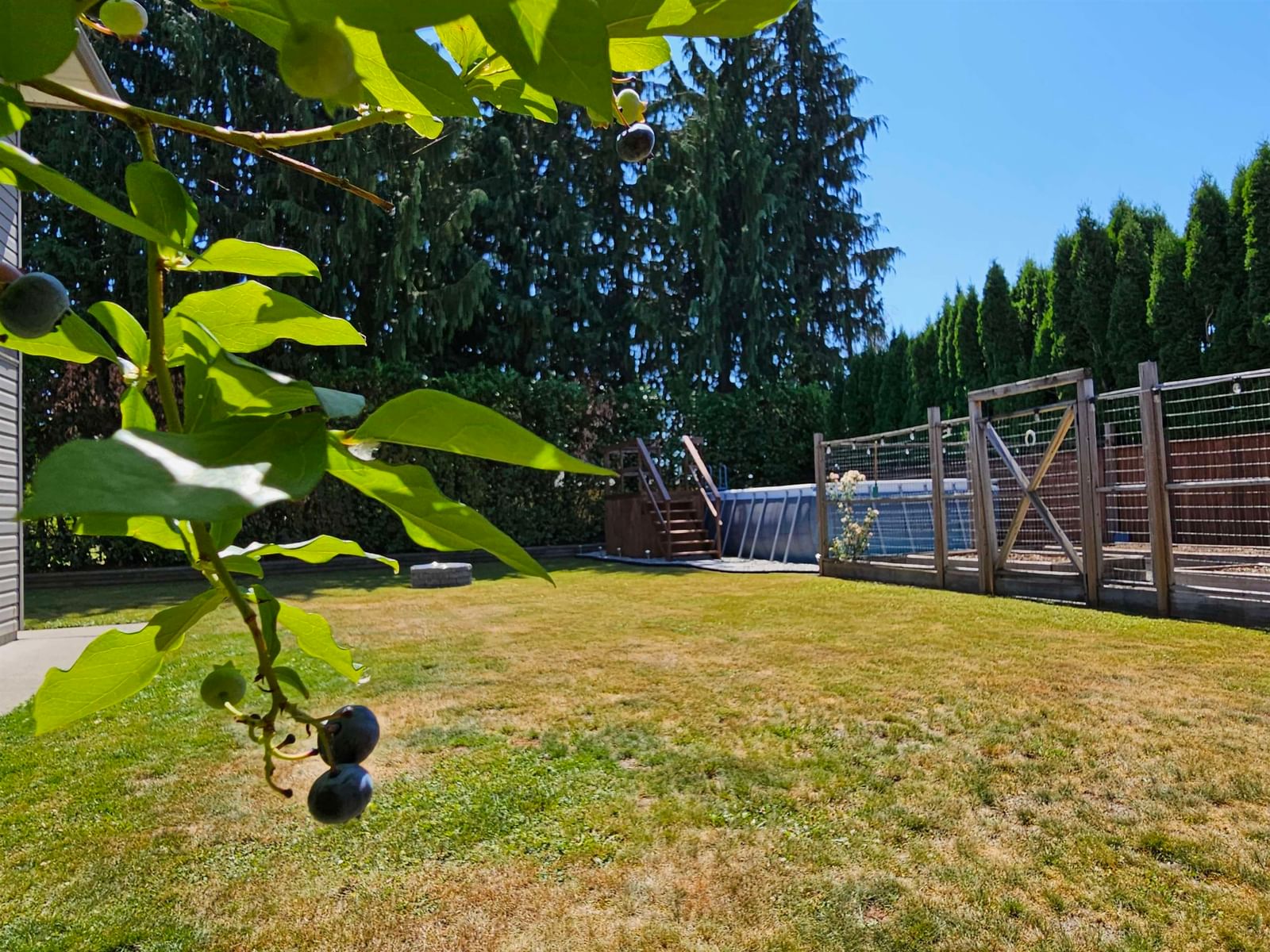 Listing Image 14