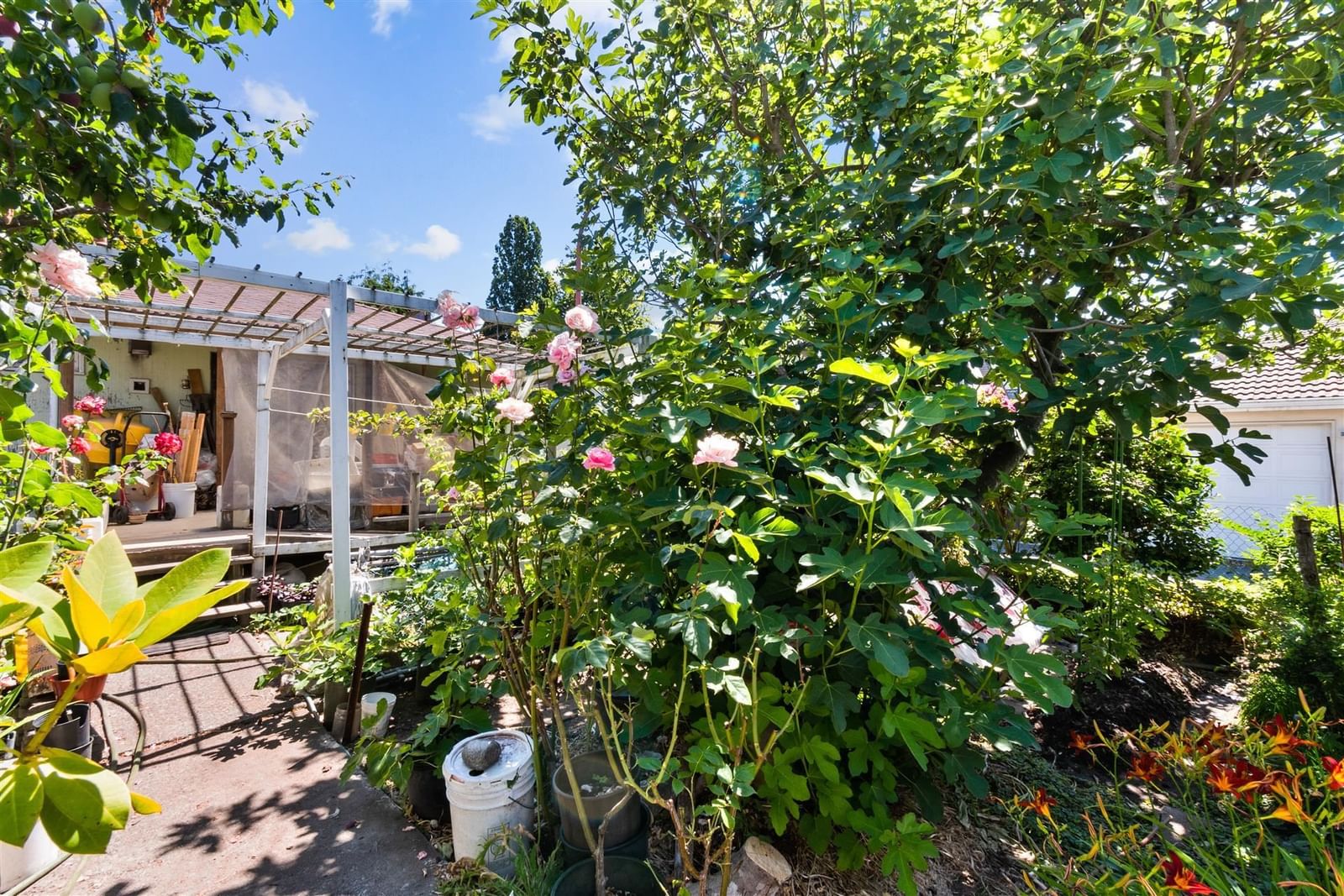 Listing Image 9