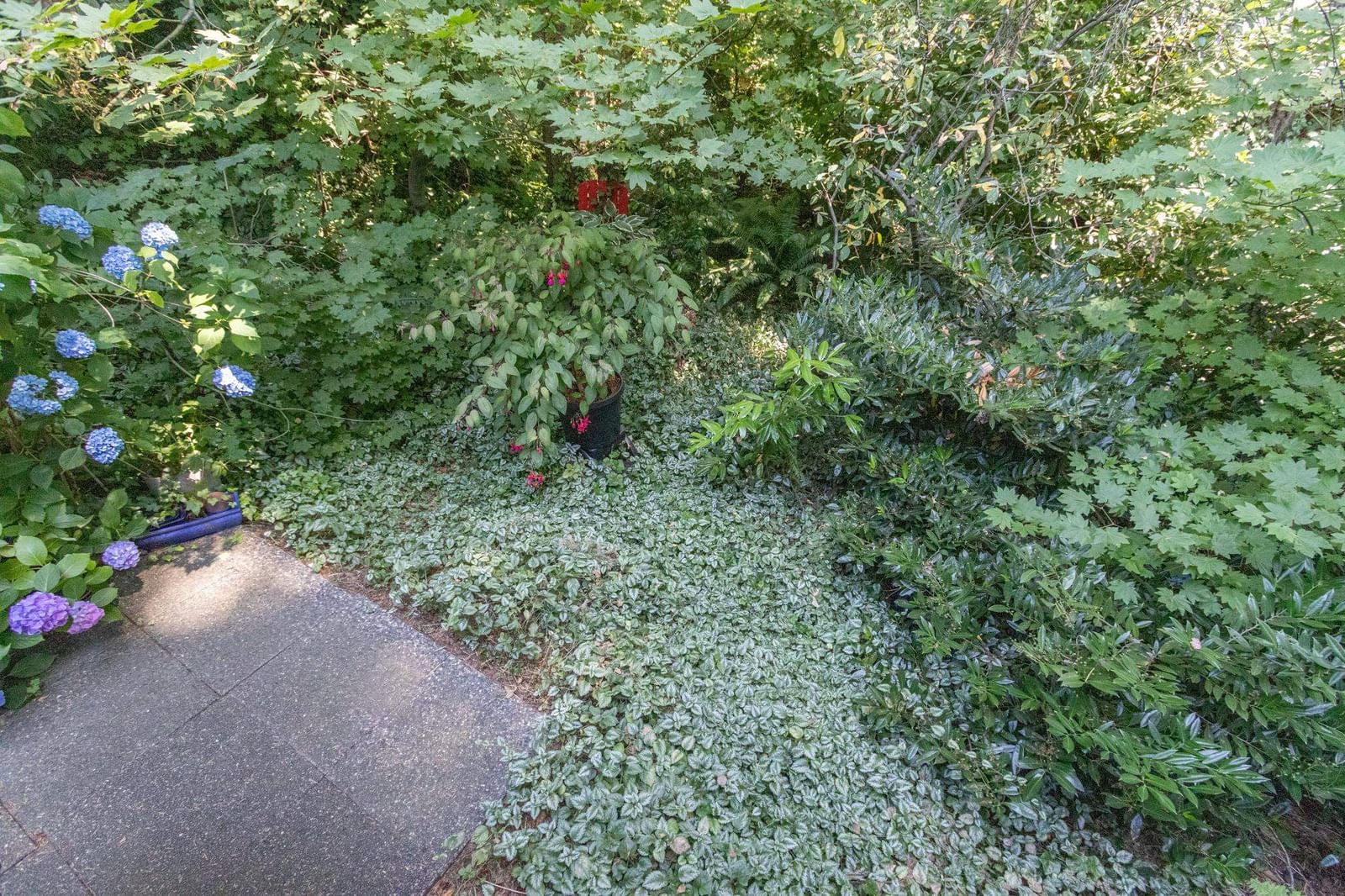 Listing Image 33