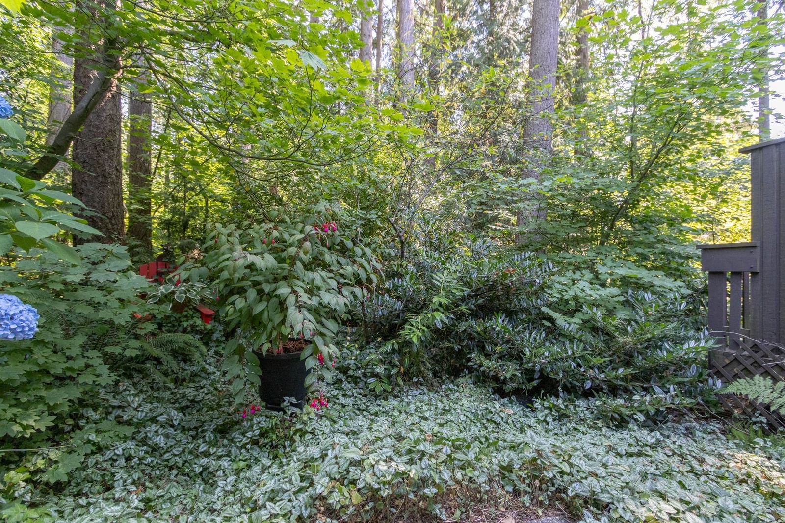 Listing Image 38