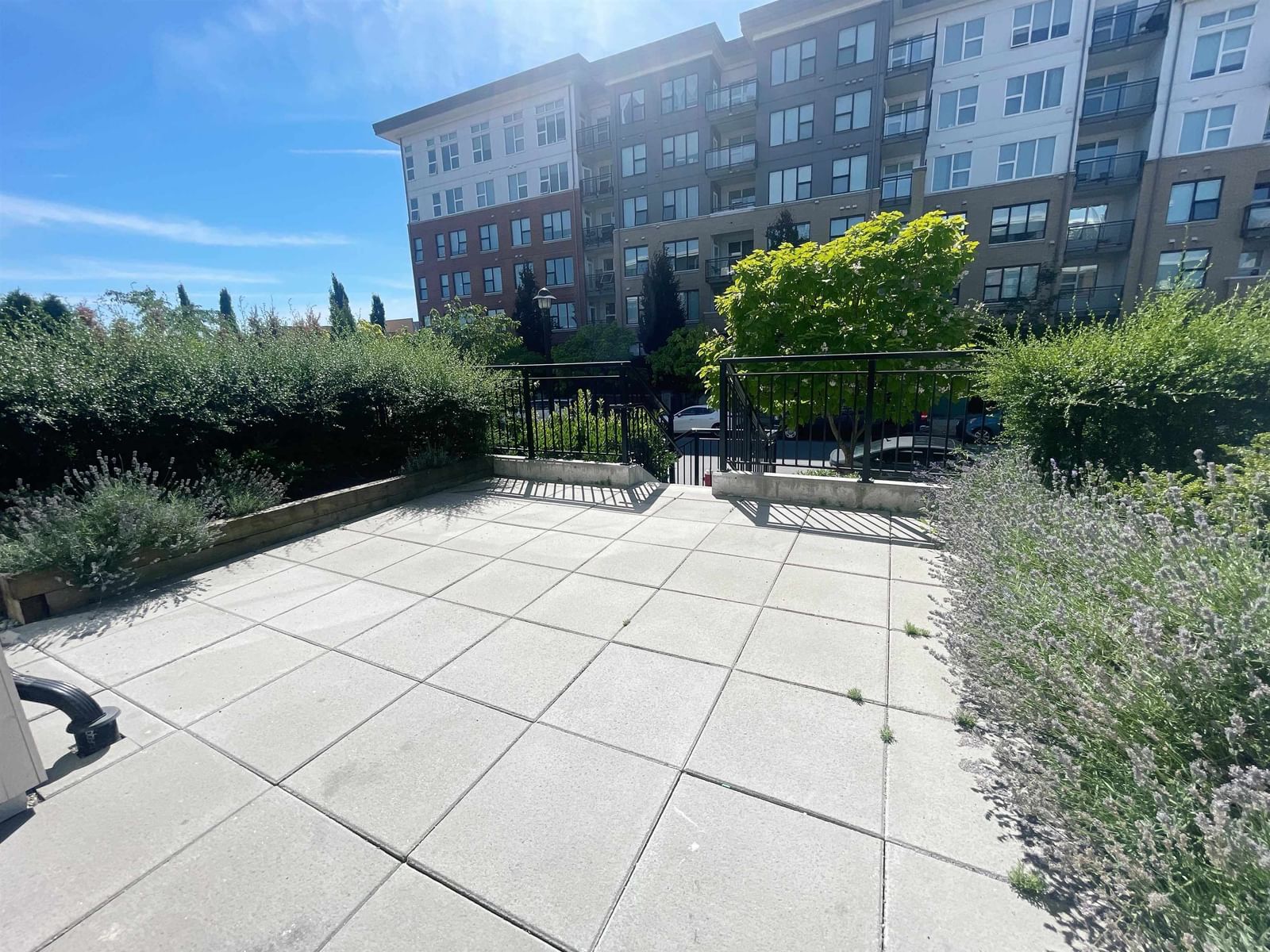 Listing Image 17