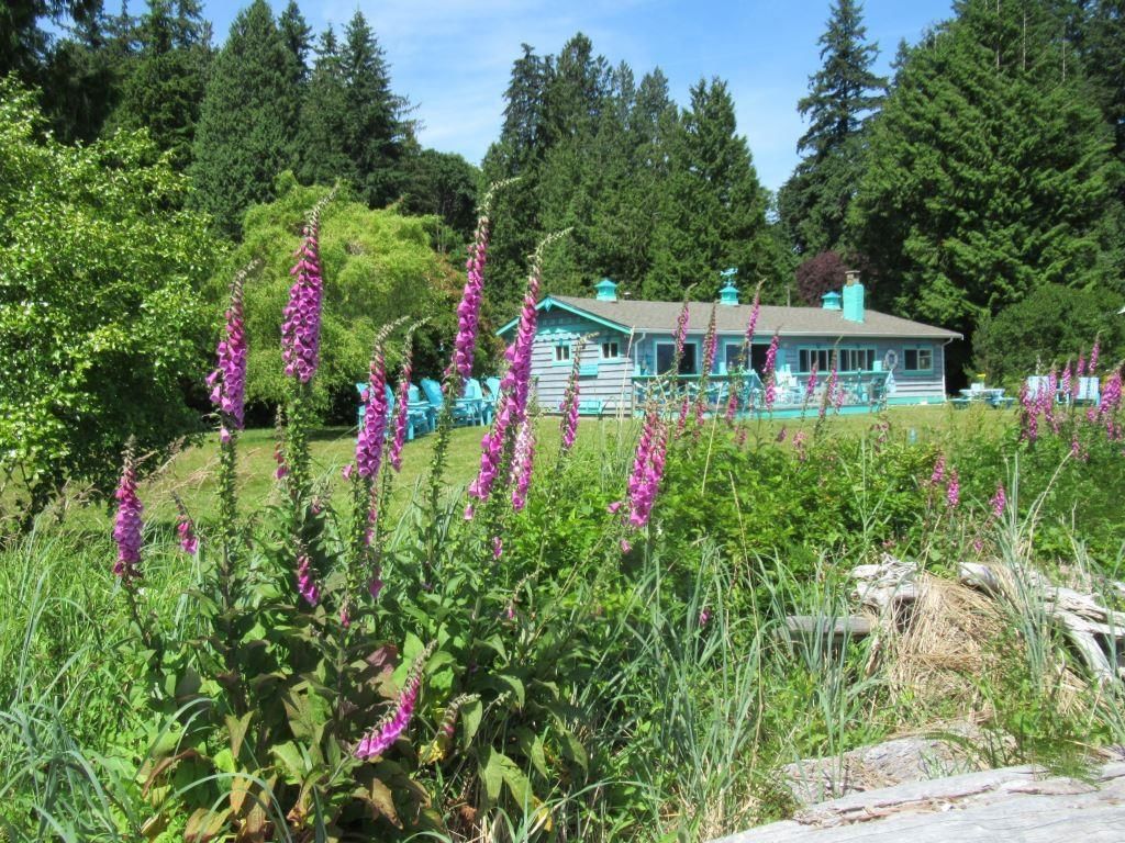 Listing Image 4