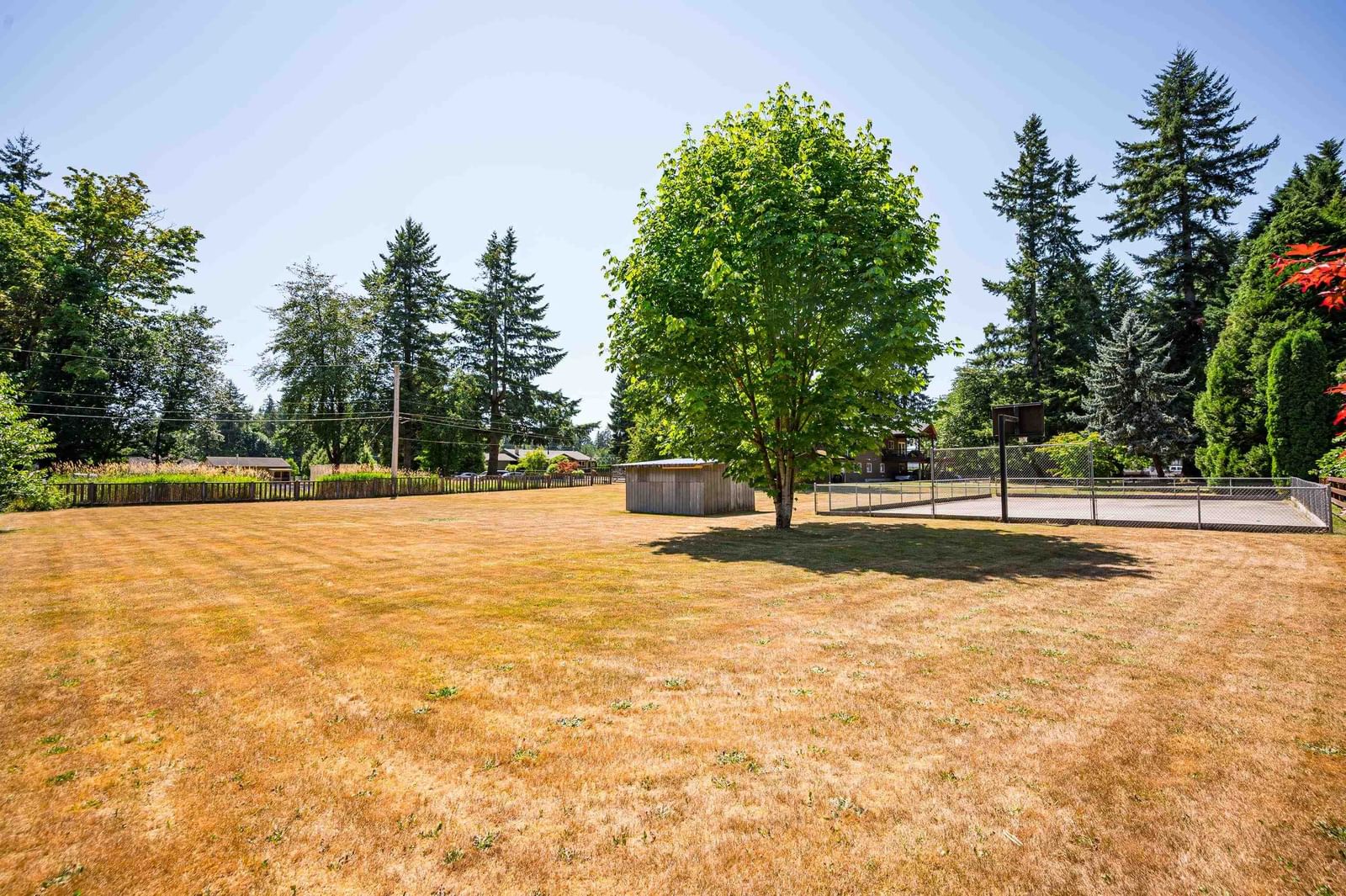 Listing Image 35