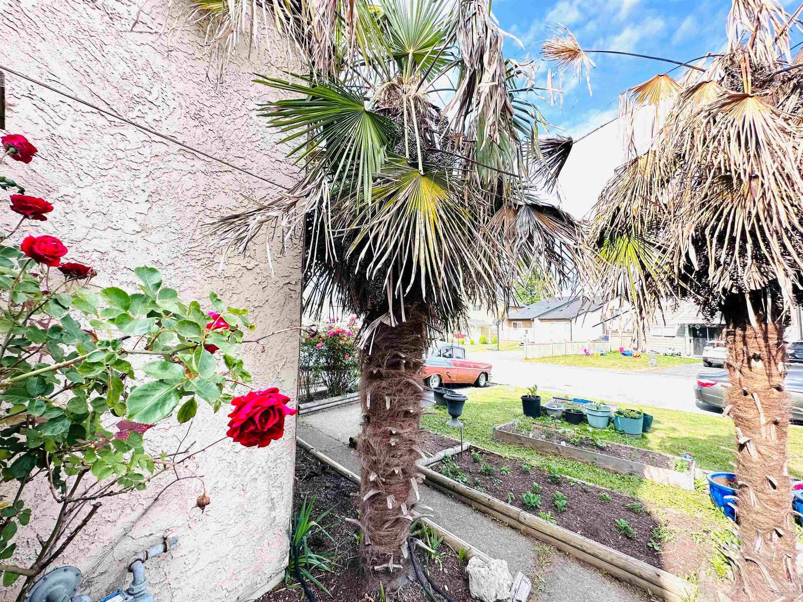 Listing Image 38