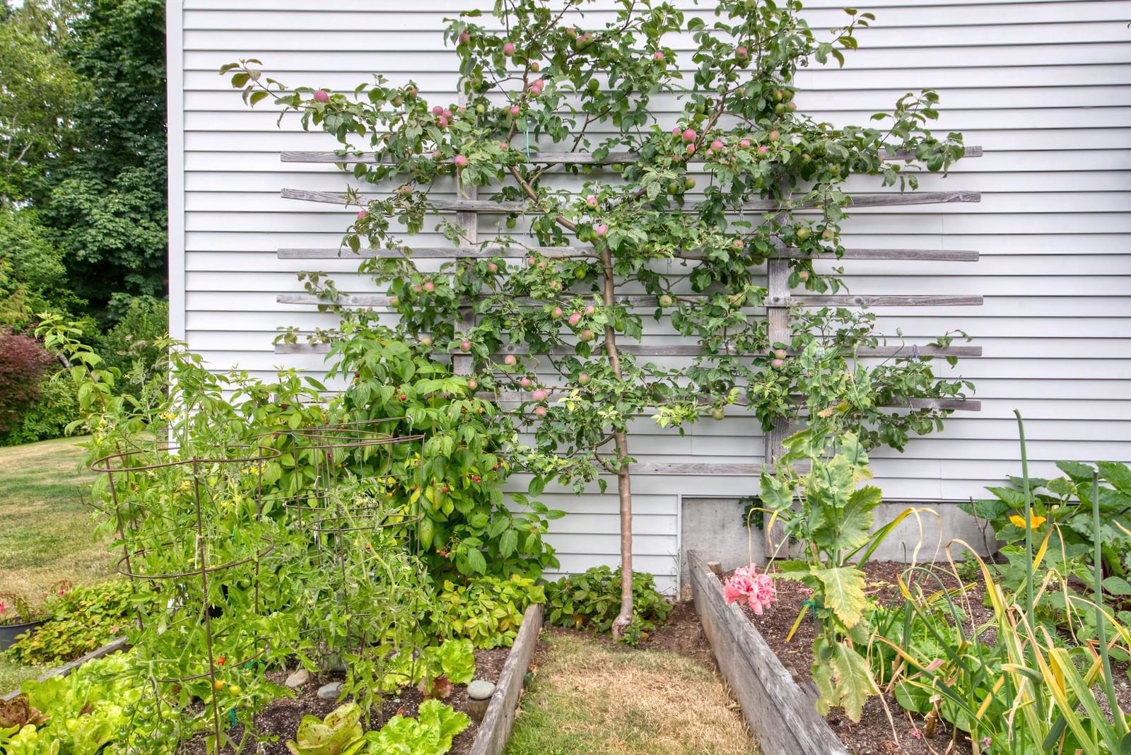 Listing Image 10