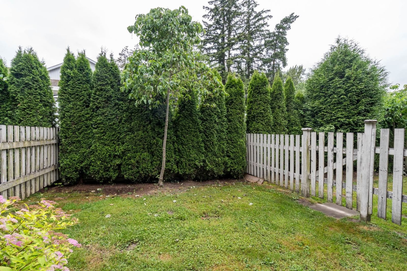 Listing Image 34