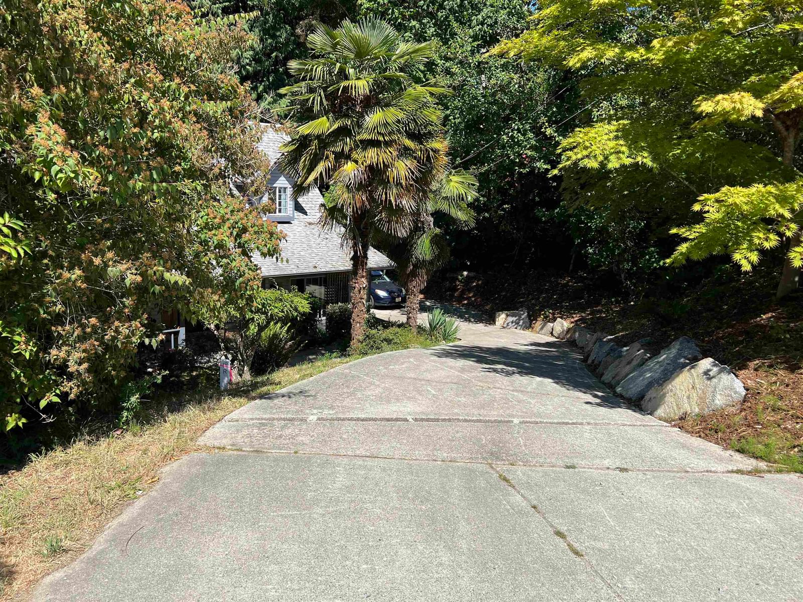 Listing Image 32