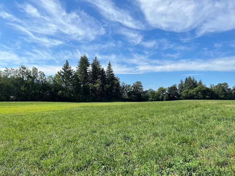 3705 Hot Springs Road, Agassiz, V0M 1A3 | Image 2