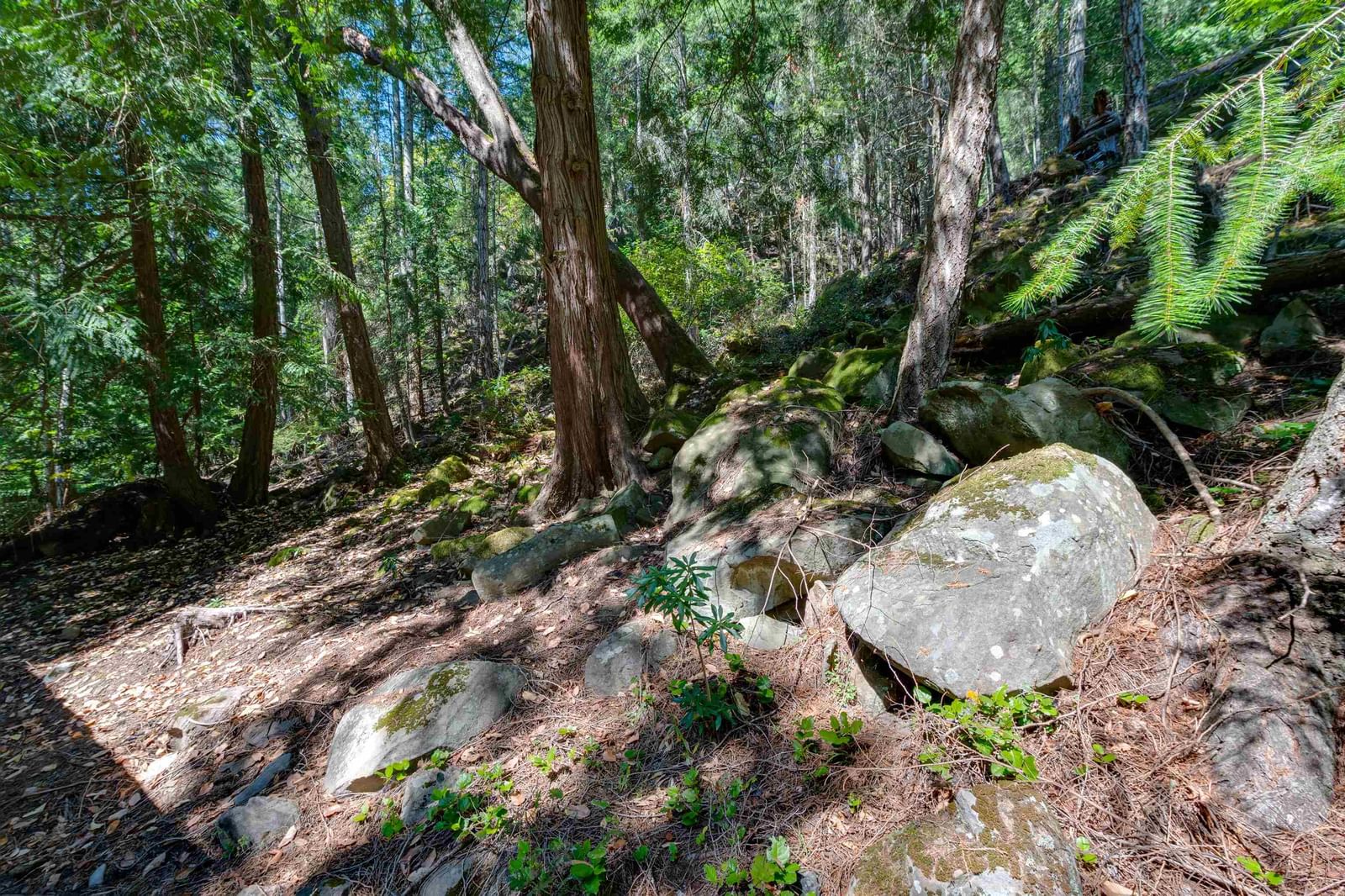 Listing Image 31