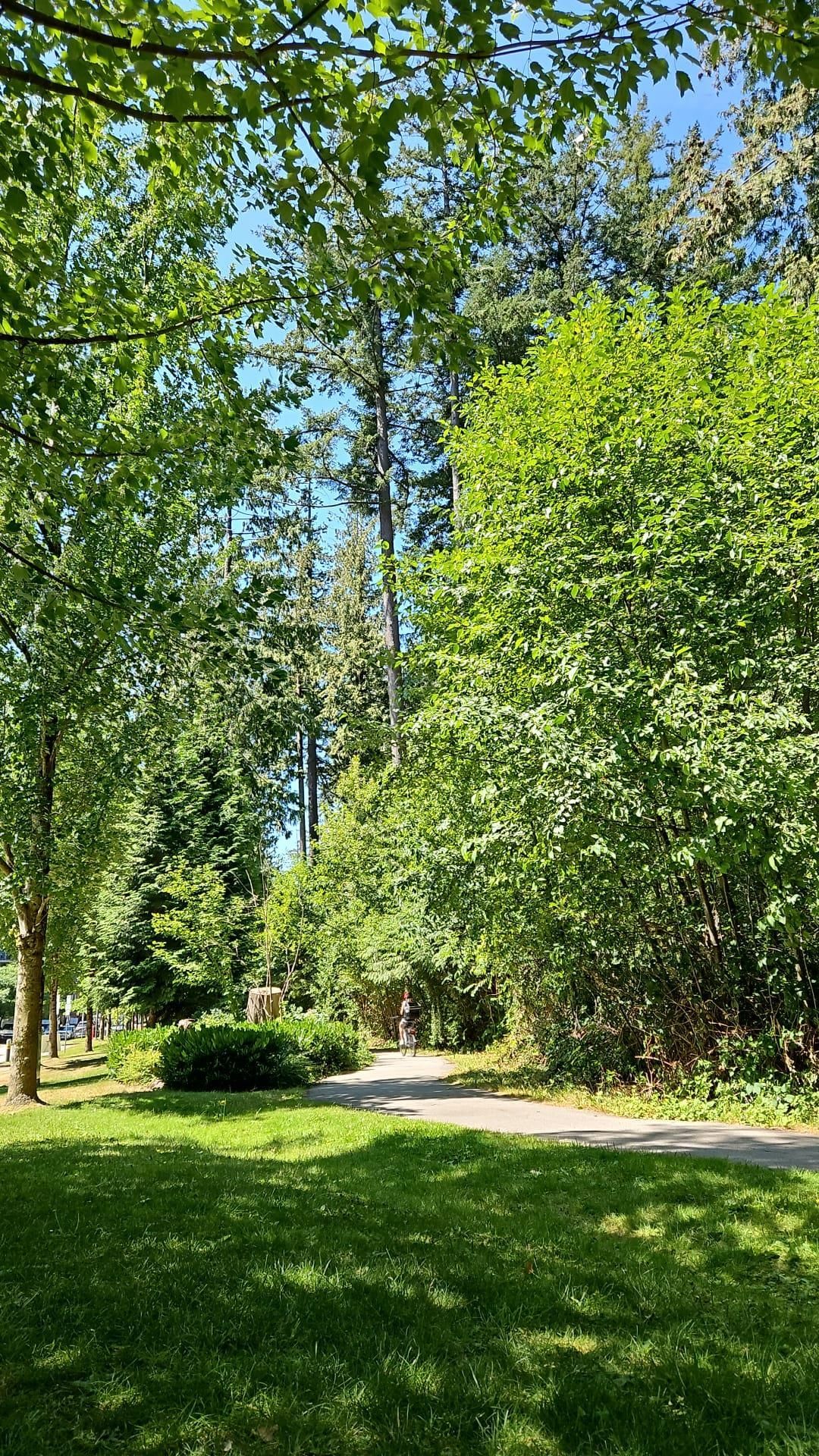 Listing Image 33