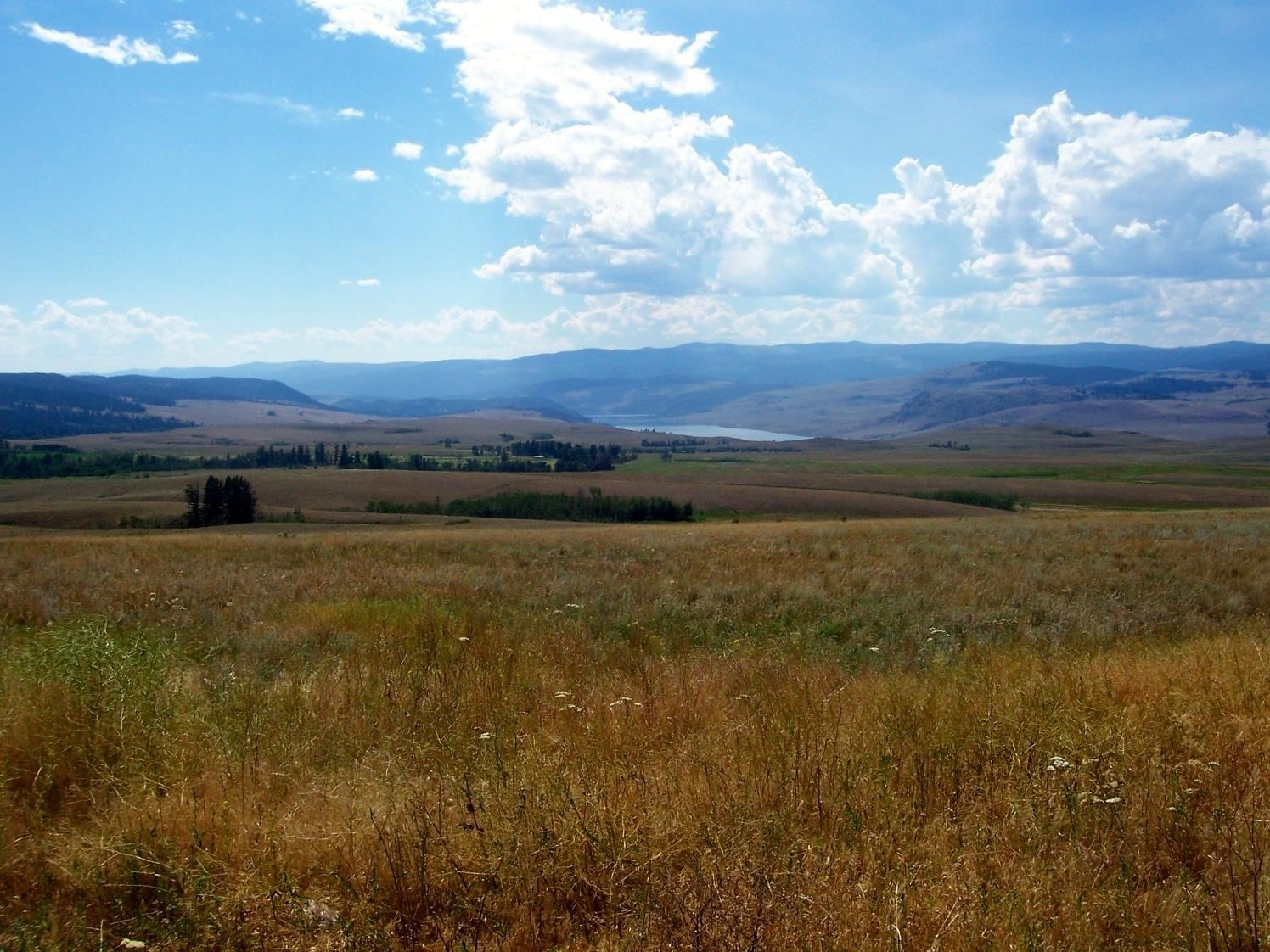 Listing Image 8