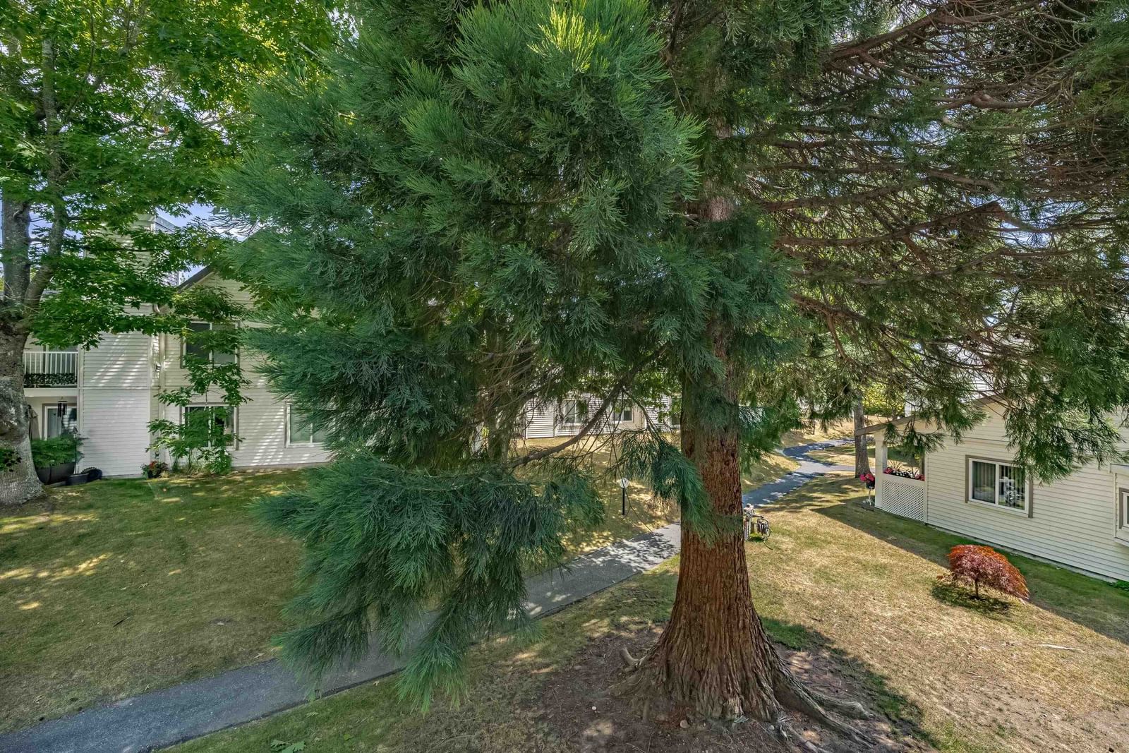 Listing Image 27