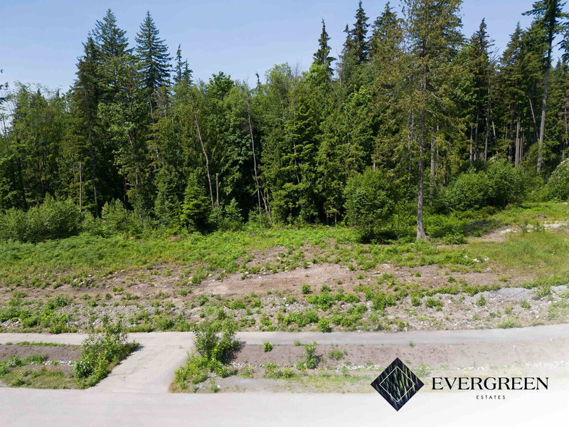 12535 271 Street, Maple Ridge, V2W 1C2 | Image 3