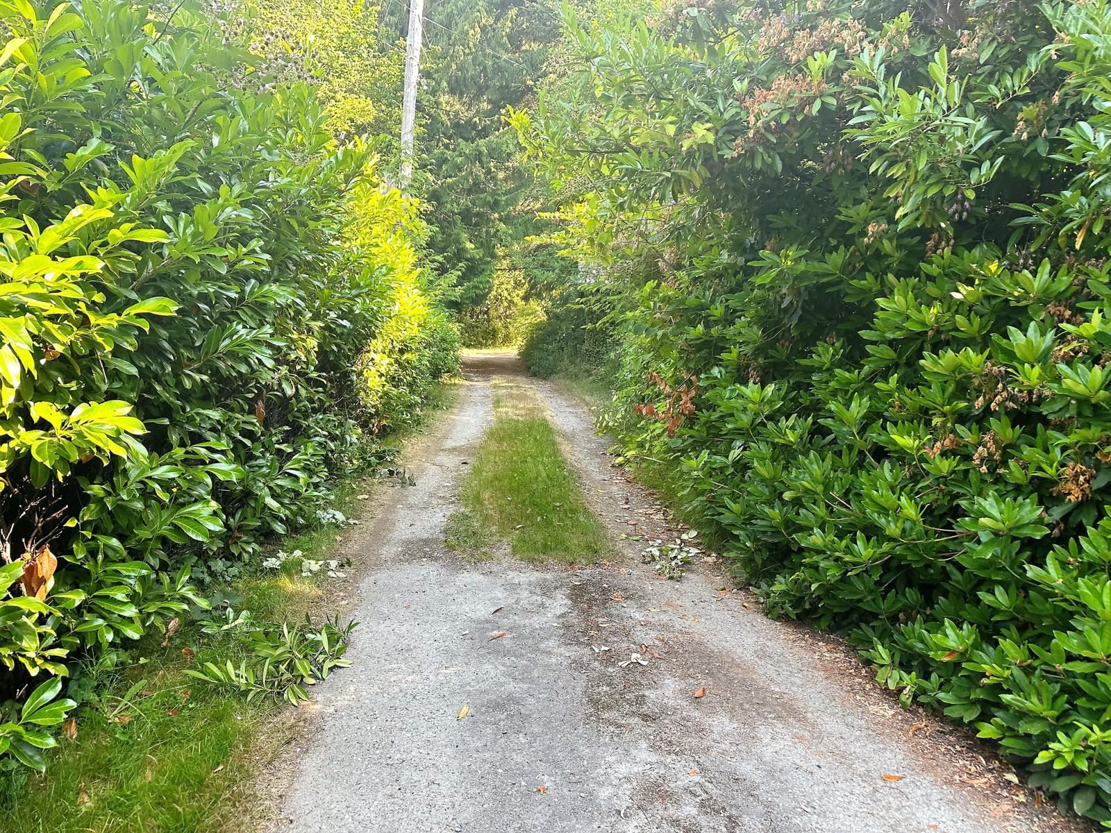 Listing Image 28