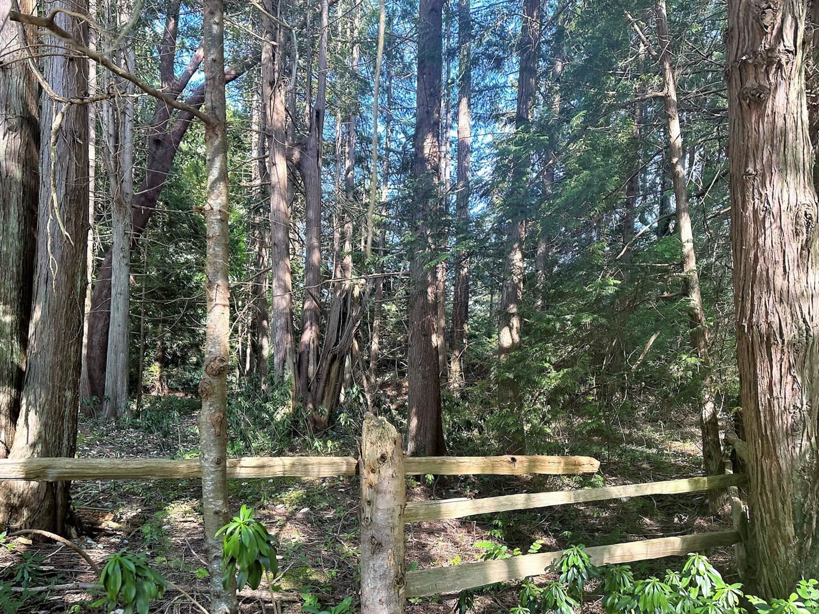 Listing Image 33