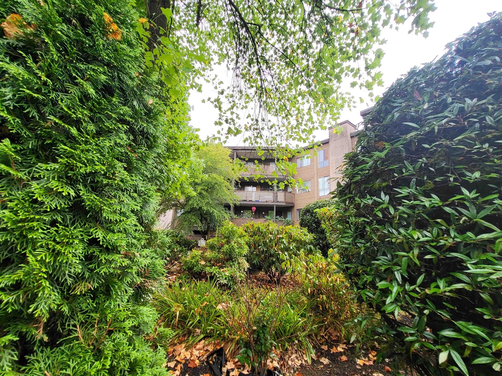 Listing Image 31