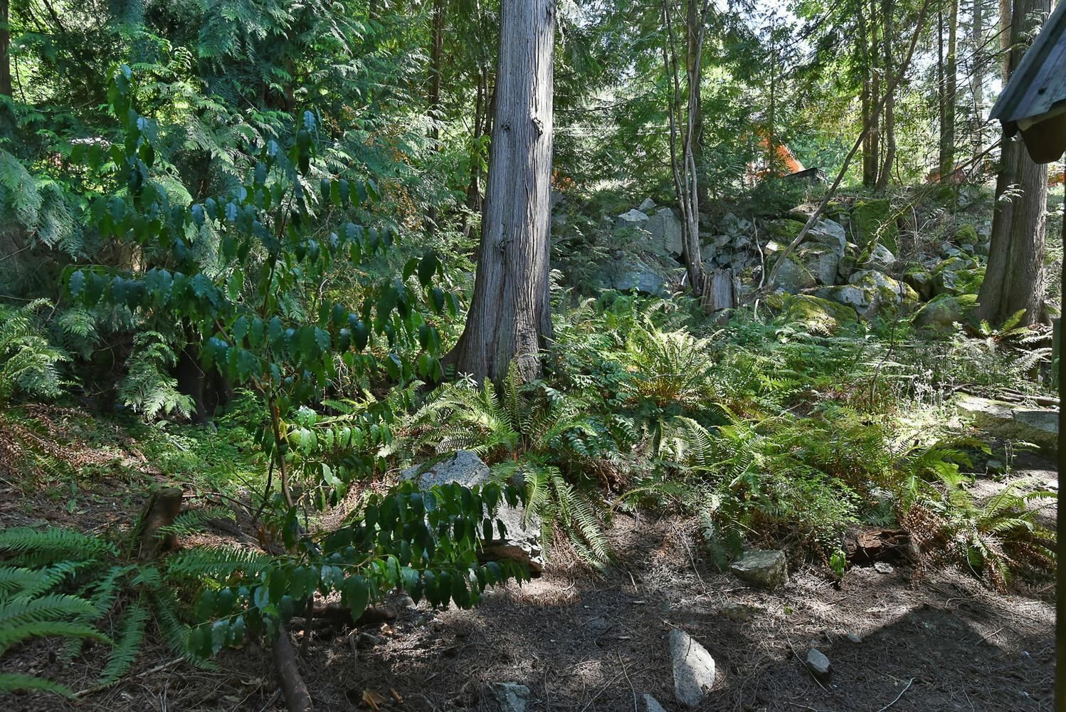 Listing Image 29