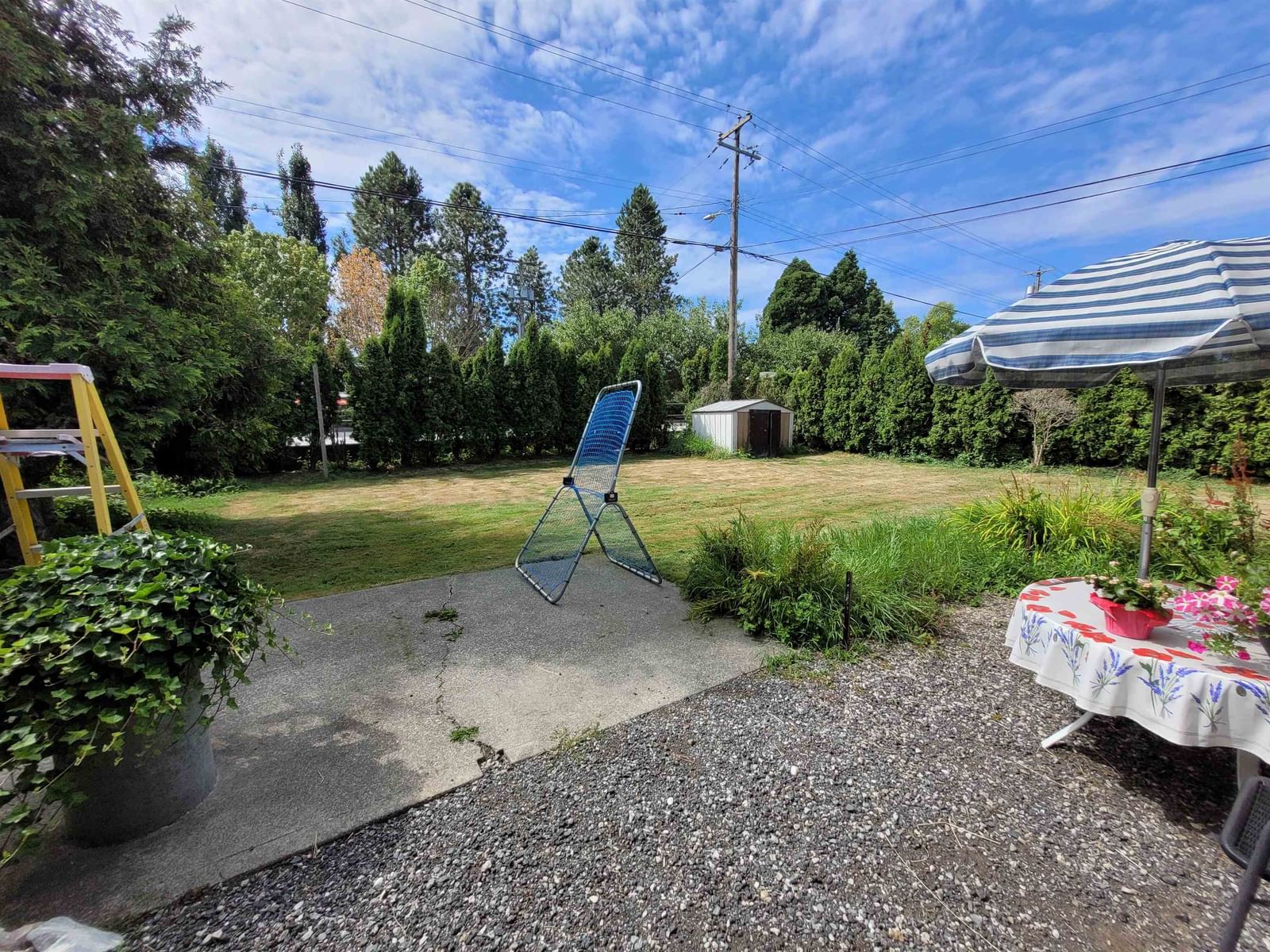 Listing Image 6