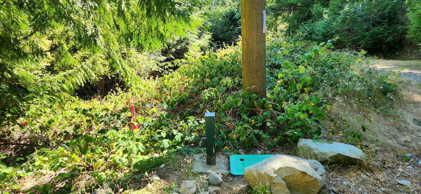 Listing Image 17