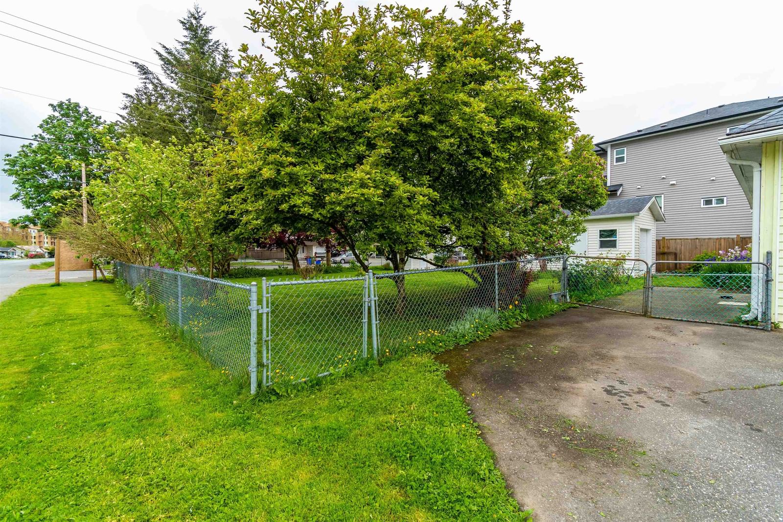 Listing Image 34