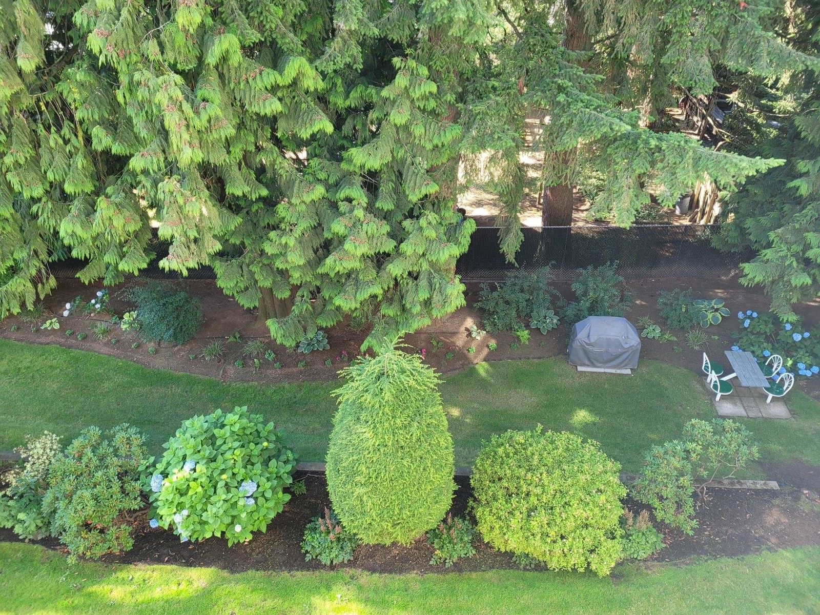Listing Image 30