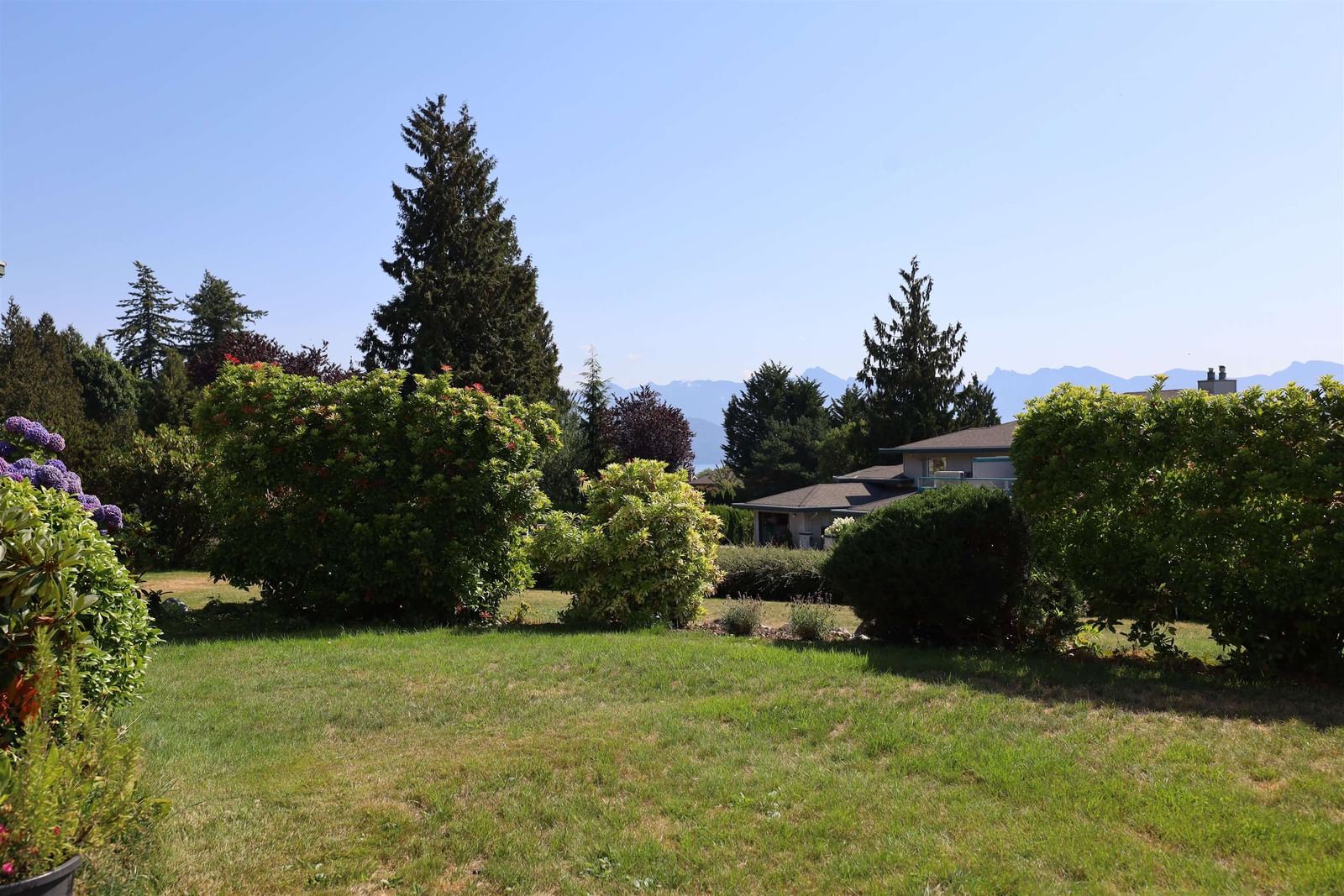 Listing Image 24