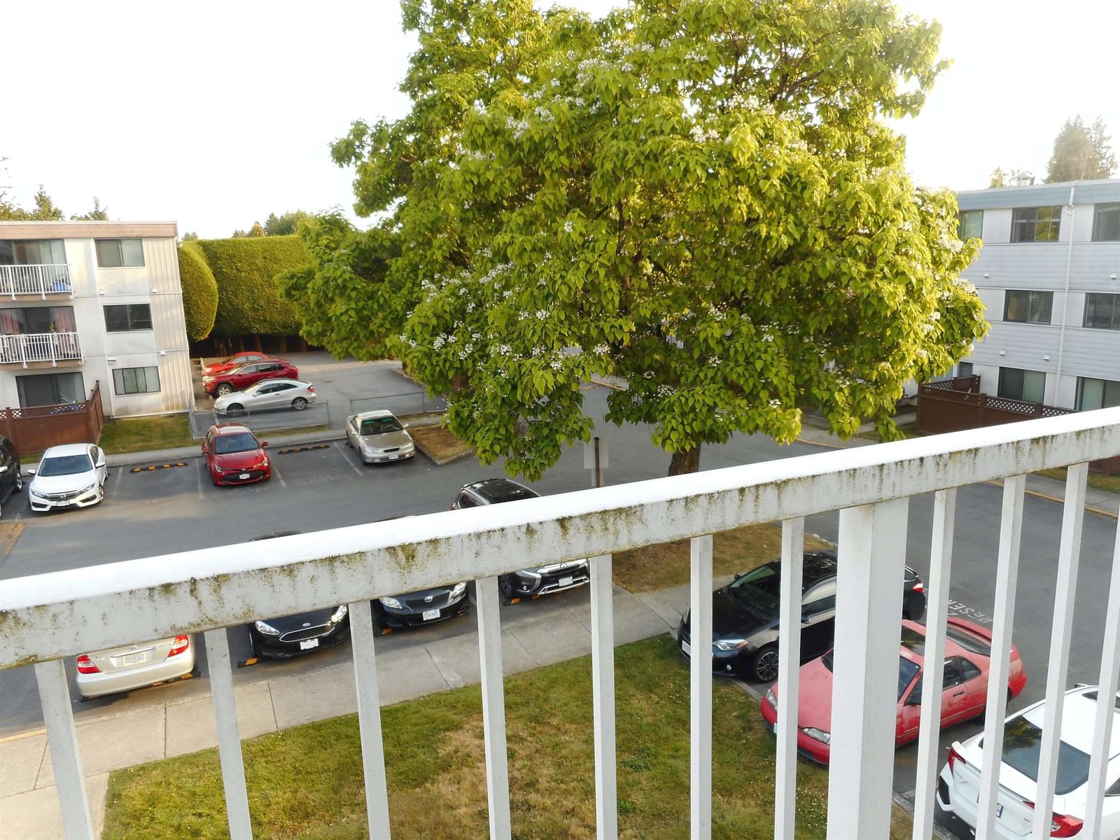 Listing Image 20