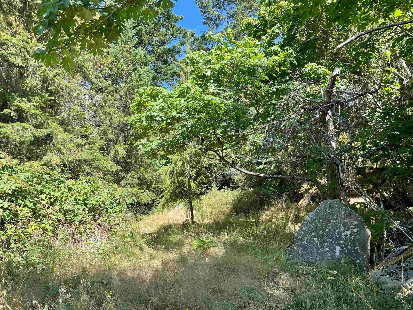 Listing Image 34