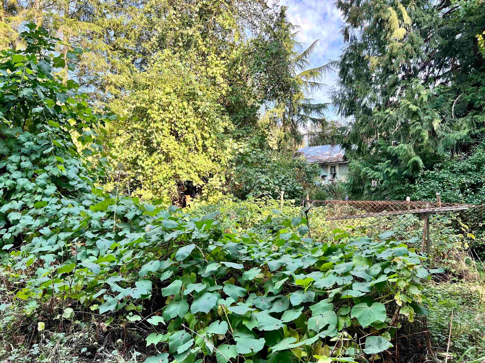 Listing Image 31