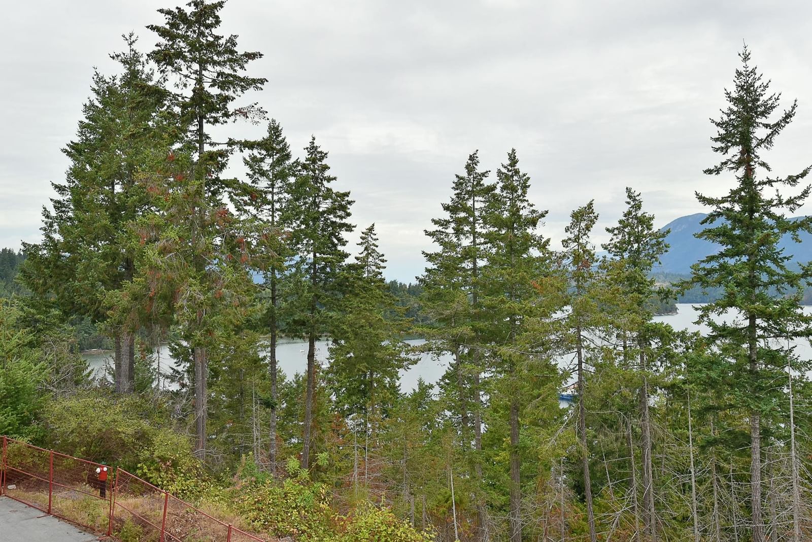 Listing Image 20
